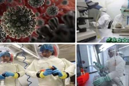 دولة عظمى تتجه لرفع الأجهزة عن مرضى «كورونا» والسبب صادم
