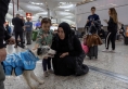 كلاب تتجول في مطار اسطنبول.. والسبب غريب؟!
