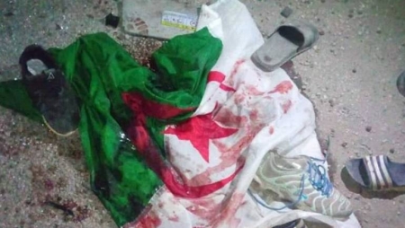 قتلى وجرحى في احتفال الجزائر بالصعود للنهائي!!
