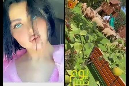 شاهد.. حليمة بولند تتلقى هدايا خراف ونياق بعد قرار النائب العام الكويتي ببرائتها