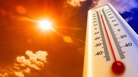 الحرارة أعلى من معدلاتها بنحو 4 5 درجات