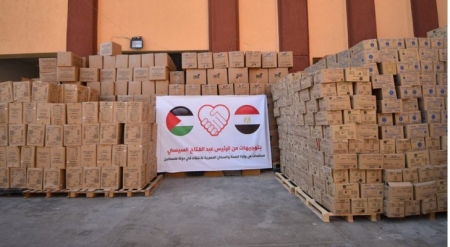 مصر تعلن ارسال 65 طنًا من الأدوية والمستلزمات الطبية الى غزة
