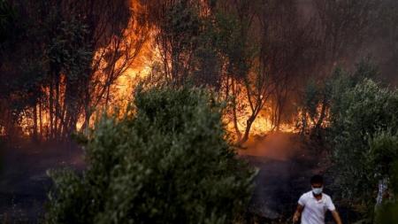 رصد دخان كثيف بسماء الأردن اثر حرائق غابات بتركيا ولبنان