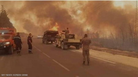 بعد الجزائر.. حرائق الغابات تتمدد في تونس وخسائر مادية كبيرة