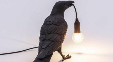 تشيزي تعلن براءة الطائر الكبير من انقطاع الكهرباء بالاردن وتكشف السبب!