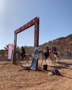 زين راعي الاتصالات الحصري لتجوال الأردن غالوبس