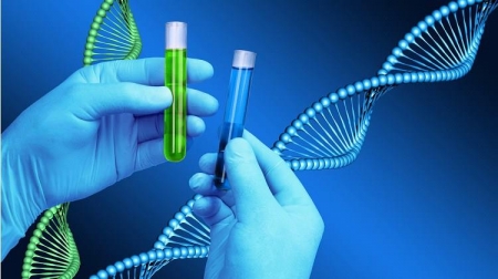 الأوبئة توضح حقيقة دخول مطعوم كورونا إلى DNA الانسان