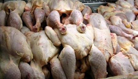 إدخال 419 طن دجاج أوكراني للأردن  رغم حظره بسبب مرض فيروسي