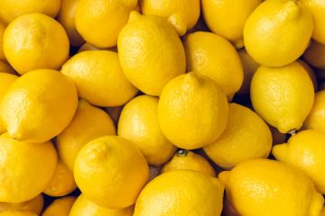 وزير الزراعة يكشف سبب ارتفاع أسعار الليمون