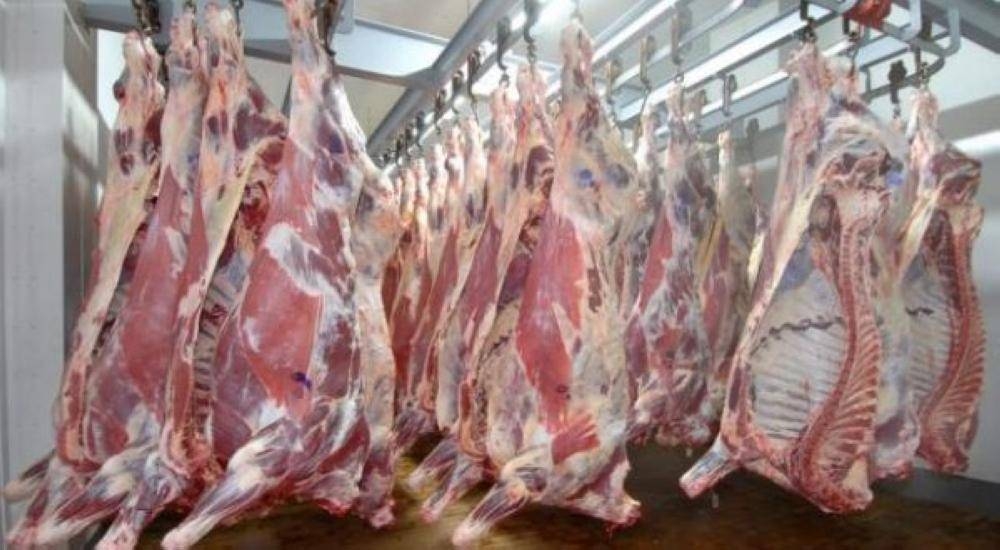 لامست 15 دينارا للكيلو.. جنون في أسعار اللحوم البلدية والتجار يبررون السبب؟!