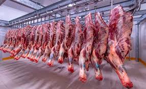 الشمالي: ارتفاع أسعار اللحوم المستوردة وانخفاض 10 سلع في اسبوع