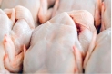 بسبب المبالغة بالاسعار.. حماية المستهلك تطالب بشمول الدجاج الطازج بقرار السقوف السعرية