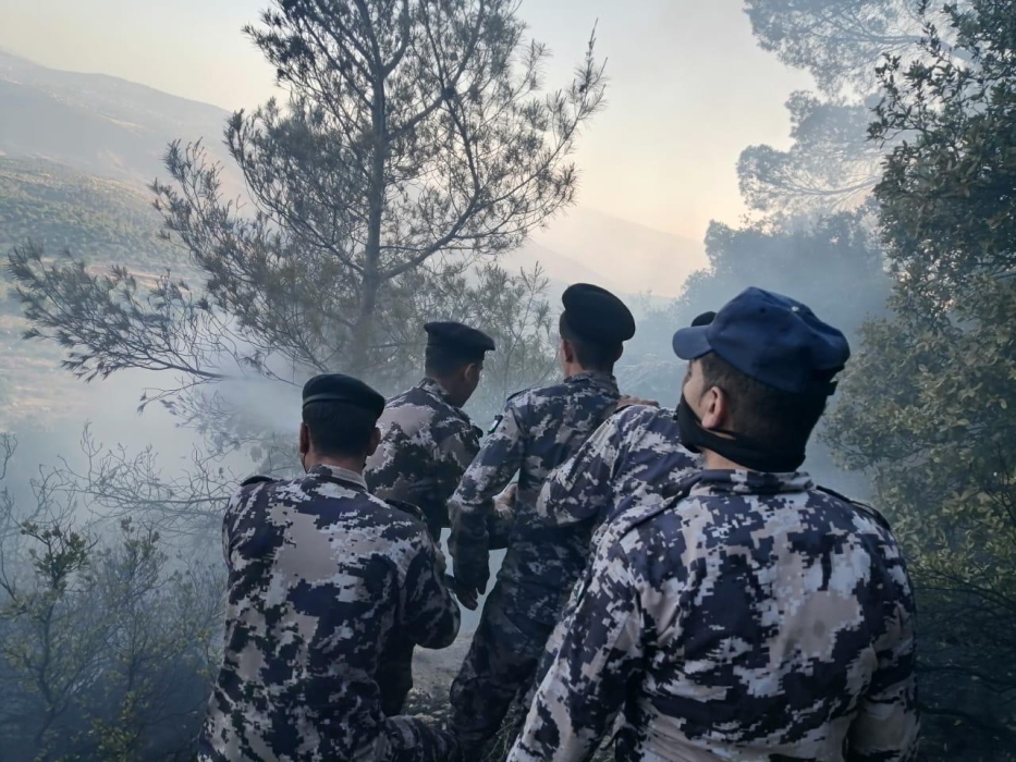 الزراعة: حريق الغابات في جرش مفتعل والنيران اشتعلت بـ3 مواقع في ذات الوقت
