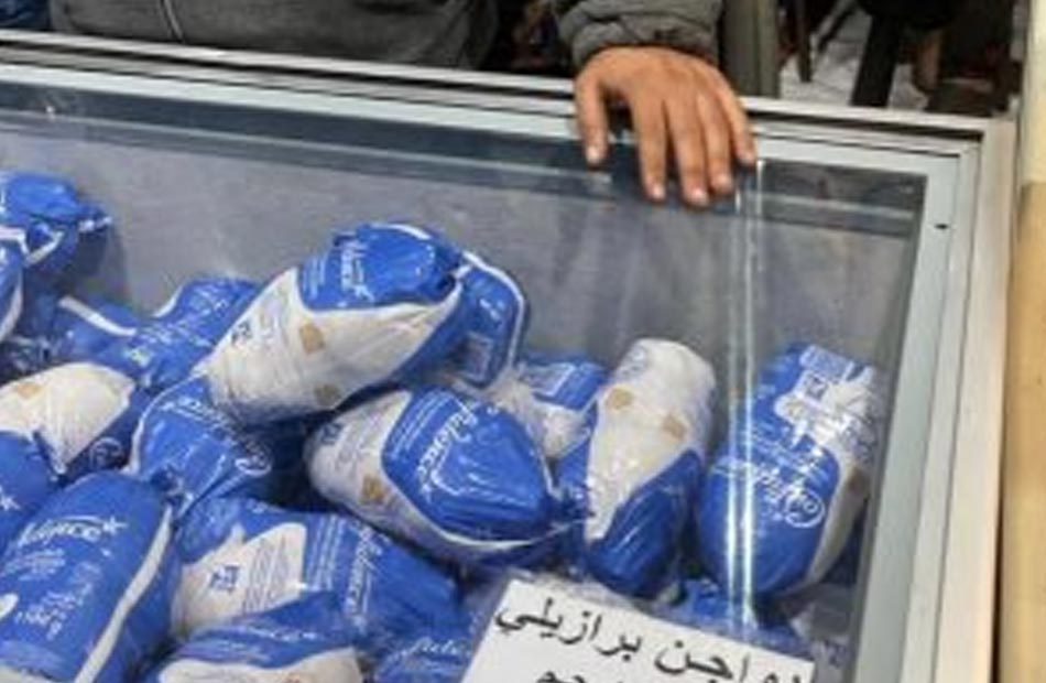 الأردن يرفع القيود عن استيراد الدواجن من البرازيل