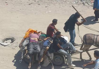 إسرائيل تواصل اعدام المجوعين.. عشرات الشهداء والجرحى في قطاع غزة