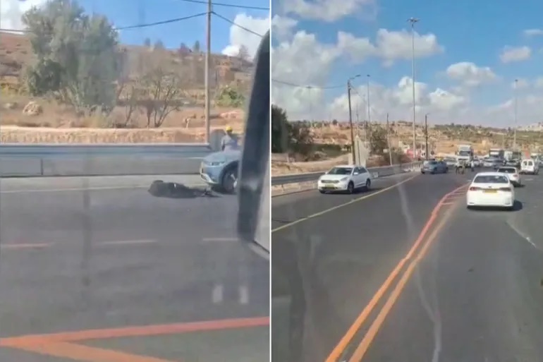 3 إصابات بعملية دهس وإطلاق نار في مستوطنة بالضفة المحتلة