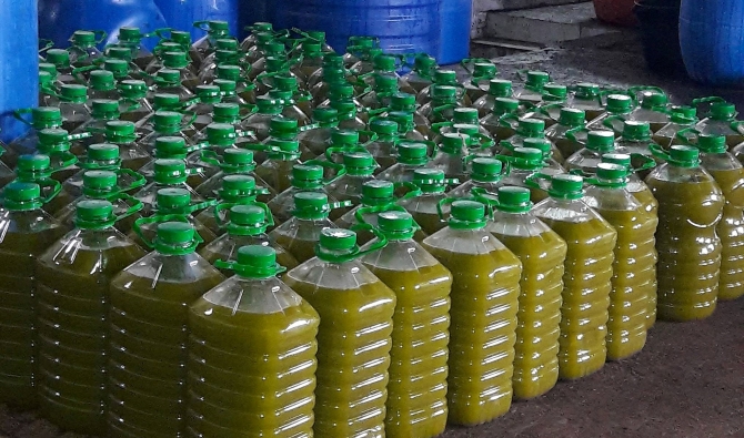 مداهمة معصرة في إربد وضبط 100 تنكة زيت زيتون مغشوش