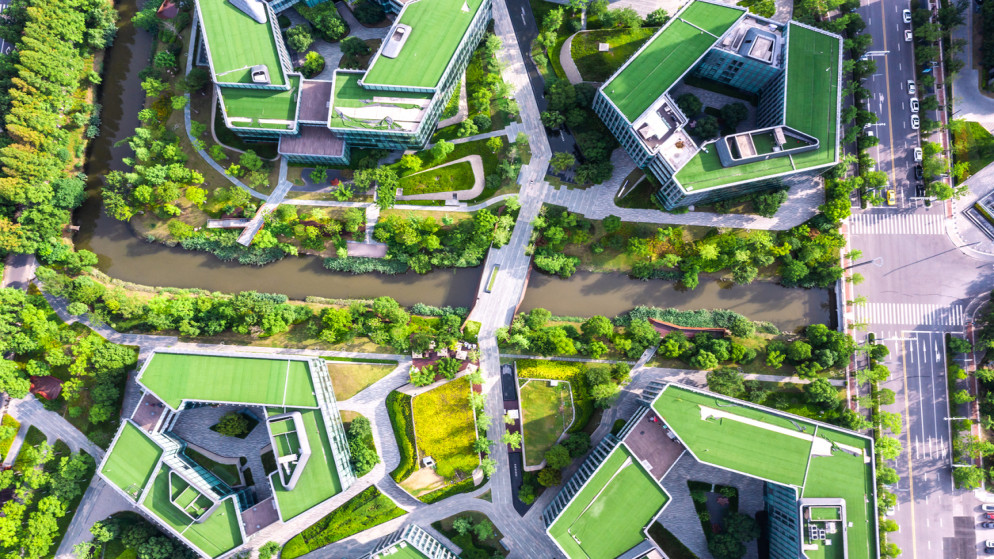 150 خبيرا يشاركون اليوم بجلسات حوارية حكومية لمناقشة مشروع مدينة عمرة