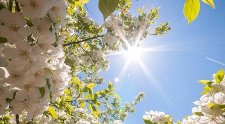 أجواء دافئة اليوم وغدًا ومعتدلة الأربعاء والخميس.. (تفاصيل الطقس)