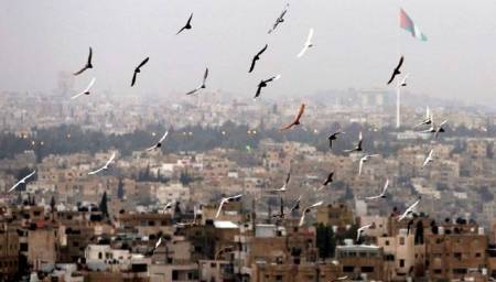 أجواء لطيفة اليوم ومعتدلة الاحد والاثنين (تفاصيل الطقس)