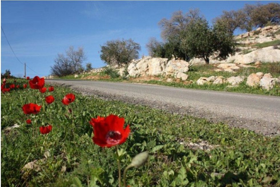 طقس لطيف الحرارة الجمعة والسبت.. وارتفاع قليل على درجات الحرارة الأحد