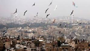 طقس معتدل الحرارة في أغلب المناطق حتى الاثنين